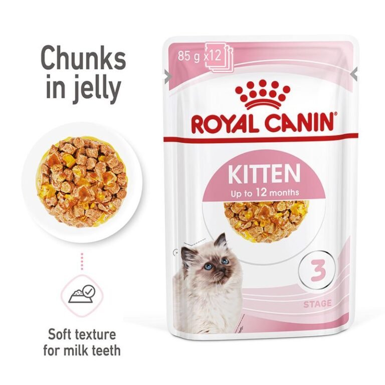 Royal Canin Kitten in Jelly