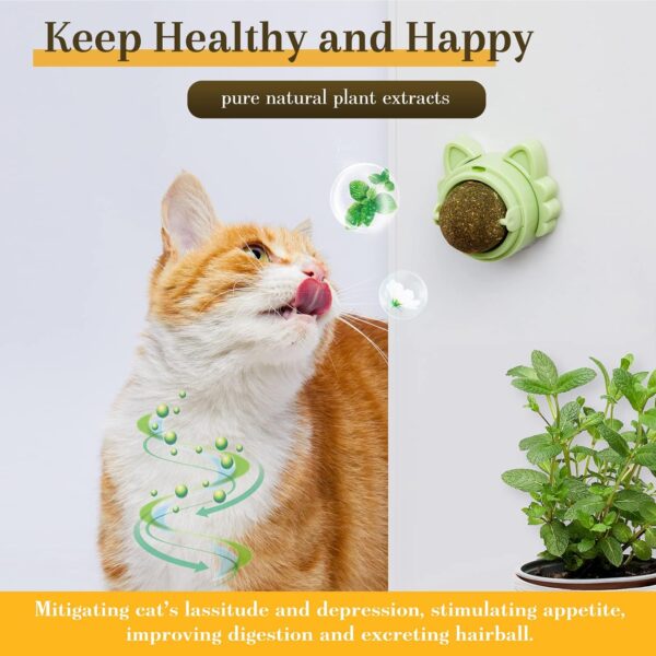 Catnip Wall Ball Cat Toy - Image 3