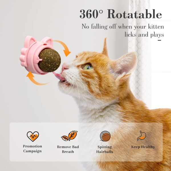 Catnip Wall Ball Cat Toy