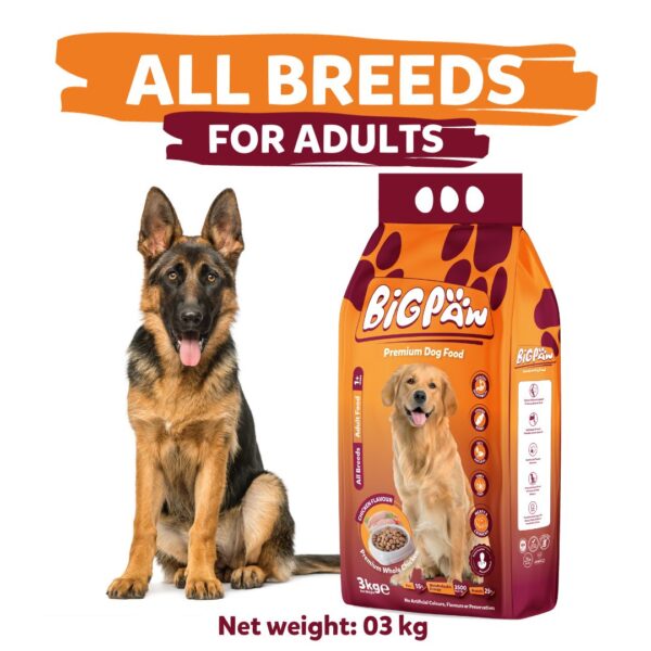 Big Paw Dog Food 3KG - Image 3
